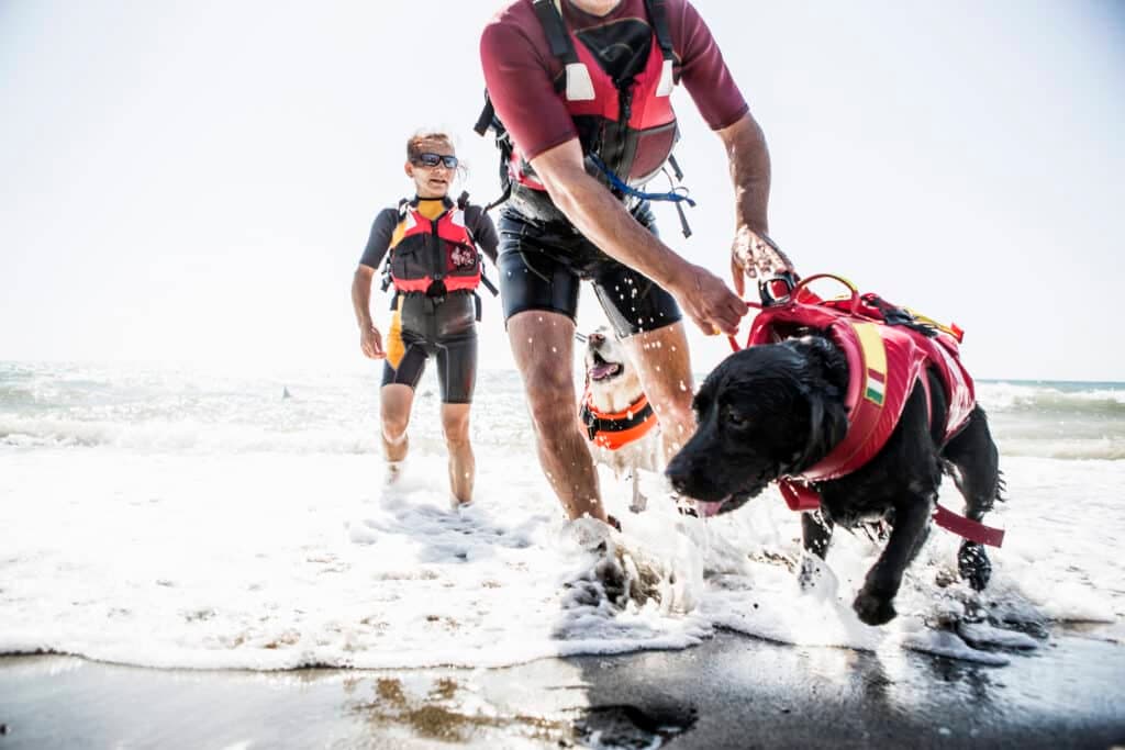 Rettungsschwimmer am Strand mit einem Rettungshund
